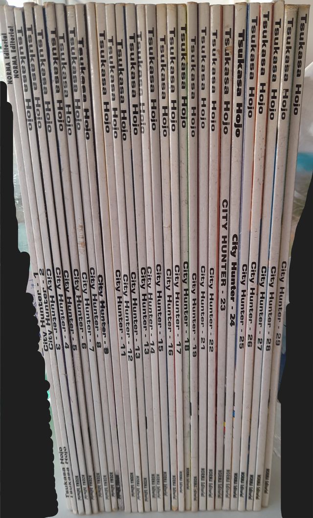 Manga City Hunter Colección completa norma 1994