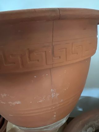 Maceta gres grande + regalo