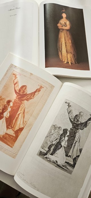 Goya, dos libros.