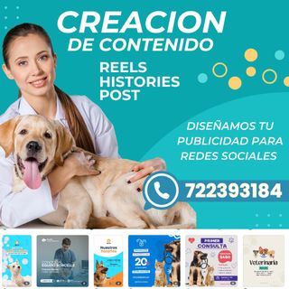 Diseño y creación de contenido