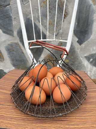 ANTIGUO CESTO PARA HUEVOS