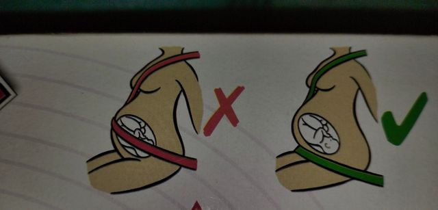 Cinturón seguridad futura mamá