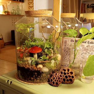 Terrarios grandes baratos