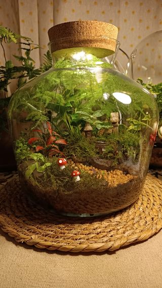 Terrarios grandes baratos