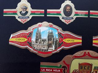Lote de 12 vitolas