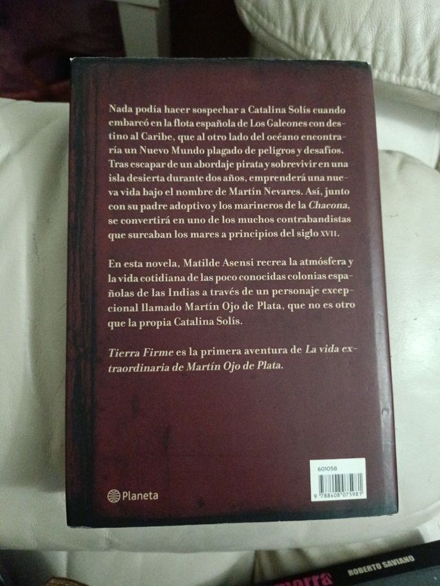 Tierra Firme. La vida extraordinaria de Martín Ojo de Plata