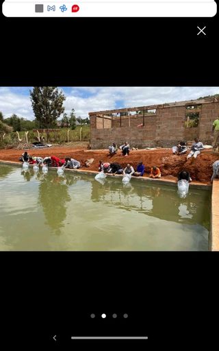 CUENTOS INFANTILES SOLIDARIOS 
