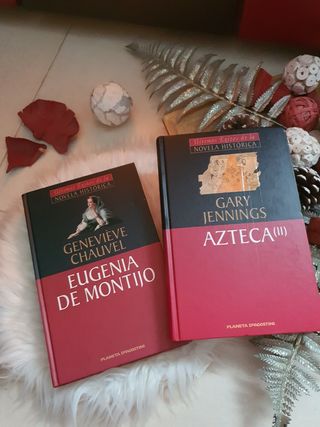Colección ultimos exito novela historica