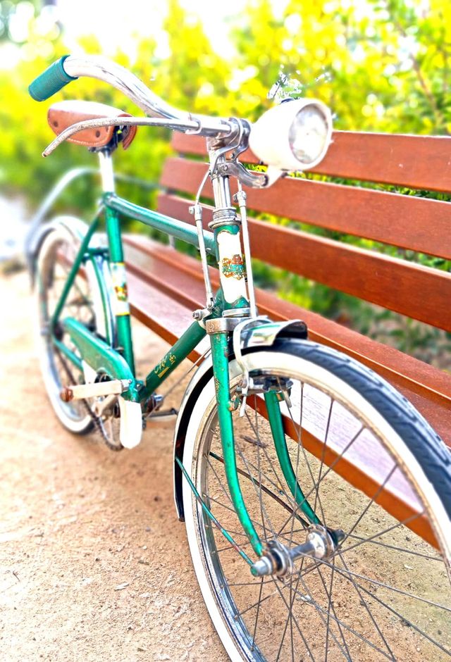 Sillín bicicleta clásica