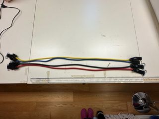 Elastici per allenamento