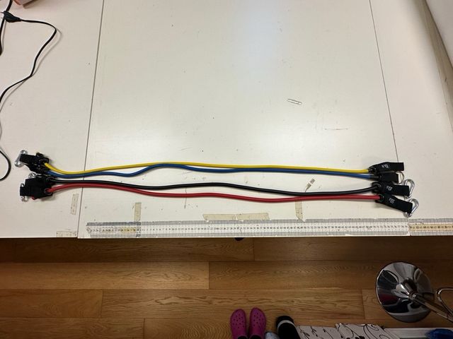 Elastici per allenamento