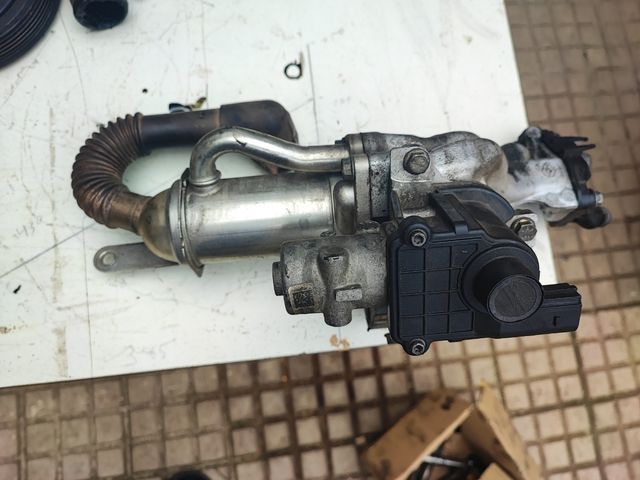 Piezas motor Renault Megane 2