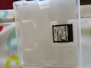 I miei cocoriti colorati Nintendo DS