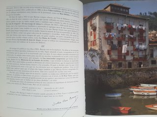 País Vasco, Pío Baroja