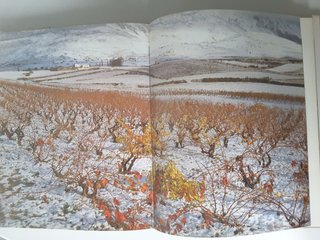 País Vasco, Pío Baroja