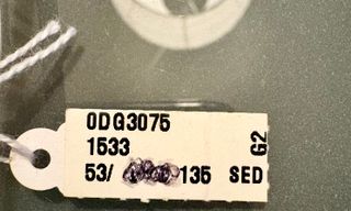 Occhiali Dolce & Gabbana