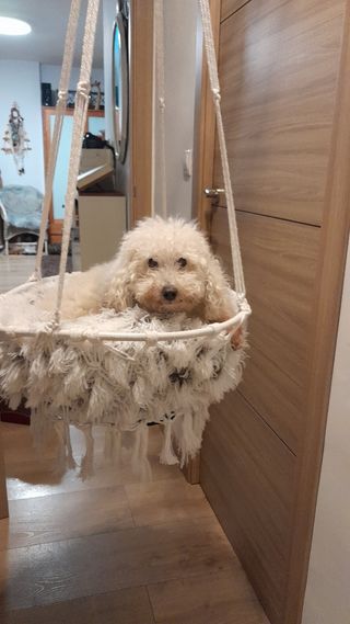 Hamaca colgante de macrame  artesanal