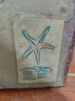 Fondo acuario marino