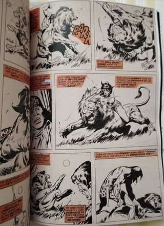 Especial John Buscema, Los Años Perdidos