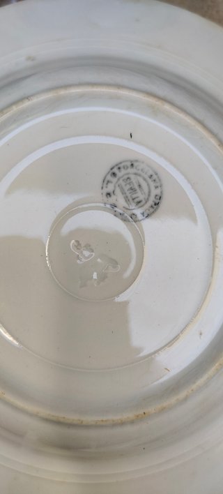 Vajilla porcelana