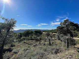 Terreno en venta en Cavall Bernat - Cala Rovira en Castell-Platja d´Aro
