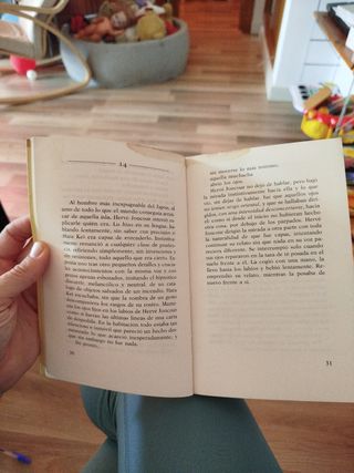 Seda (Panorama de narrativas) (Spanish Edition)