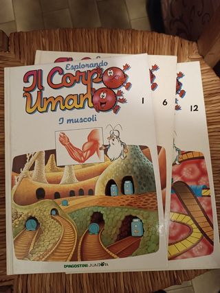 3 Volumi il corpo umano