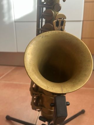 Saxo Alto SML Gold Medal 1