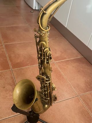 Saxo Alto SML Gold Medal 1