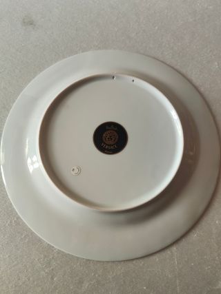 Piatto Versace medusa