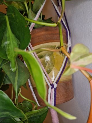 Portapiante macramè rosa, viola e bianco