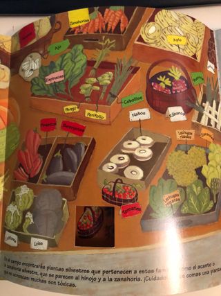 ¿Cómo se cultivan los alimentos?