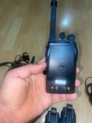 Varios Motorolas Walkie Talkie