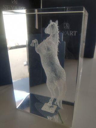 Cristal óptico macizo con fotos de un caballo