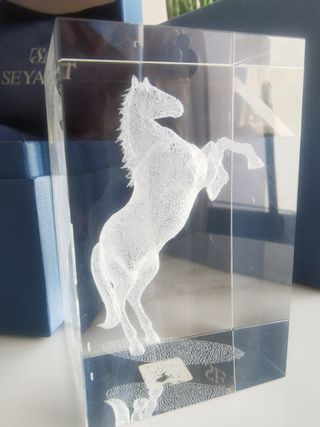 Cristal óptico macizo con fotos de un caballo