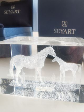 De Seyart, Cristal óptico 3D con foto grabada de d