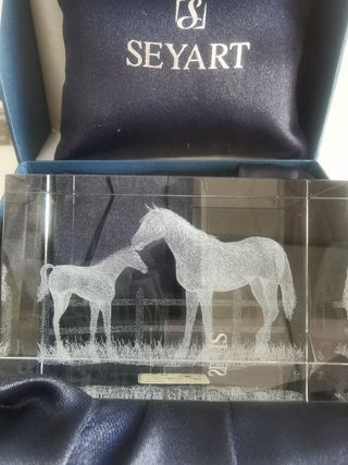 De Seyart, Cristal óptico 3D con foto grabada de d