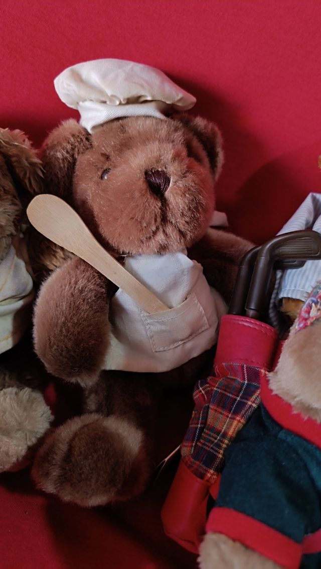 Lote osos Teddy Bear