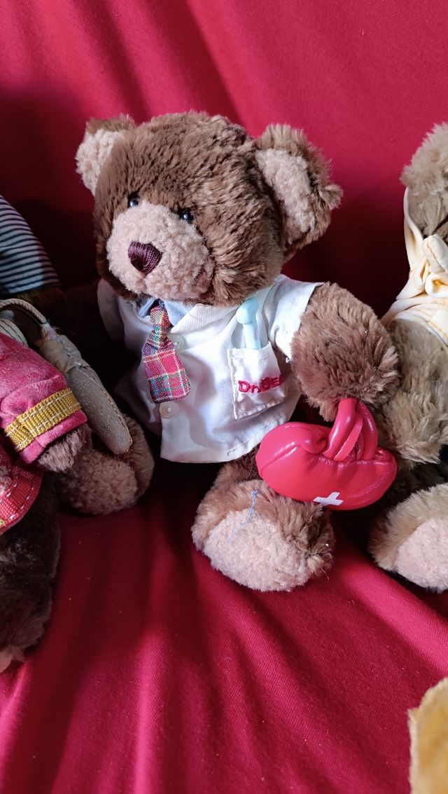 Lote osos Teddy Bear