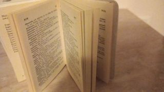 Dizionario tascabile