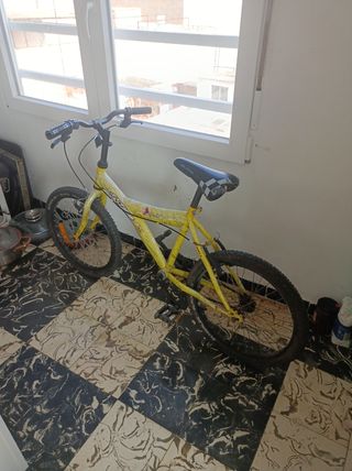 Bicicleta