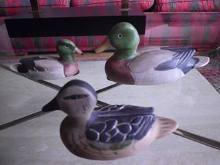Conjunto 3 patos