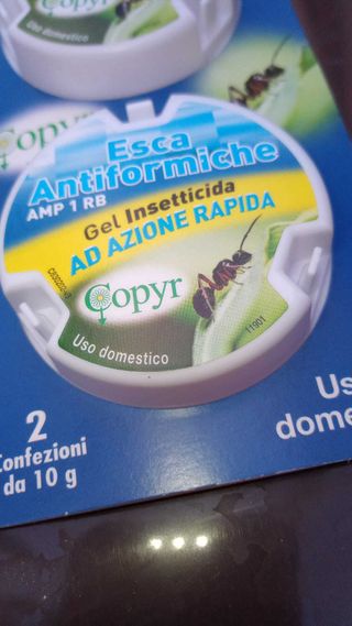 Antiformiche insetticida per formiche esca