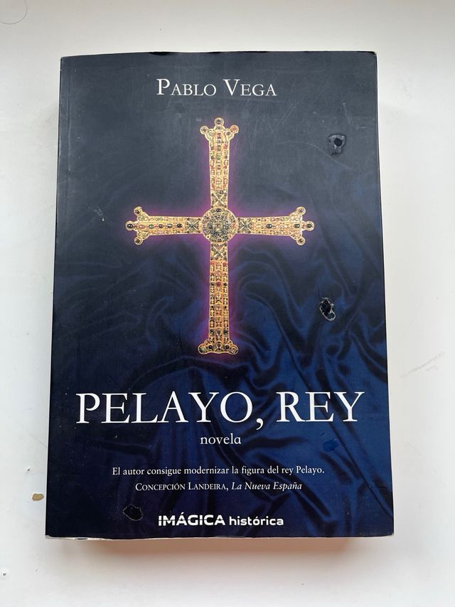 Pelayo, rey (Imágica Histórica) (Spanish Edition)
