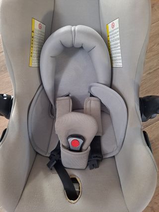 Maxicosi