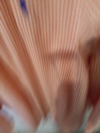 Camisa manga larga Polo Ralph Lauren M