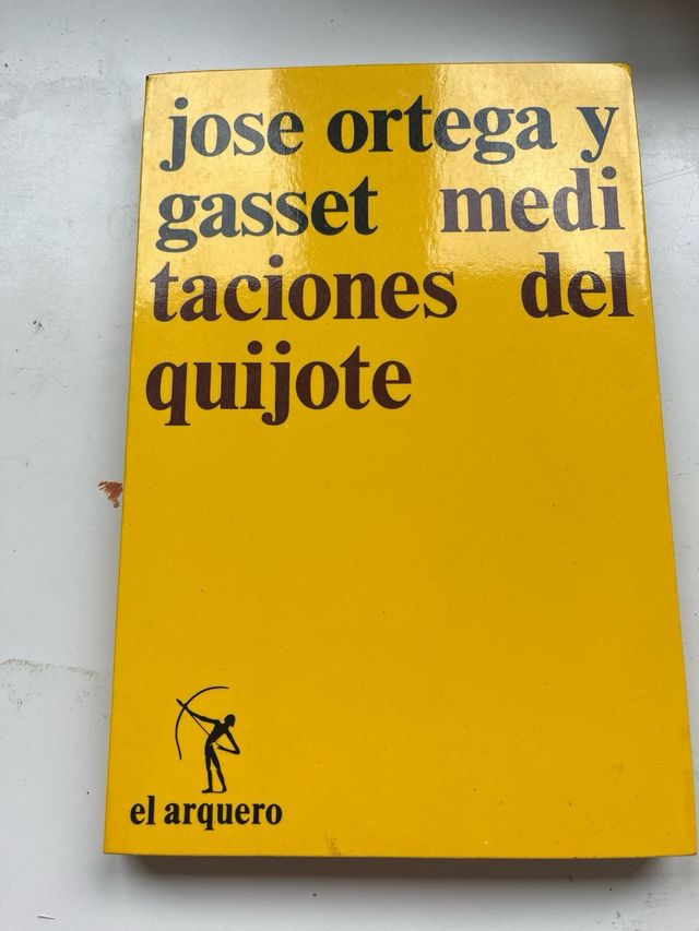 Meditaciones del Quijote e Ideas sobre la novela