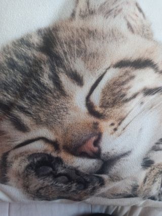 Cojin gato
