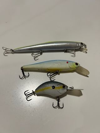 Jerkbait saruna smith y livingston