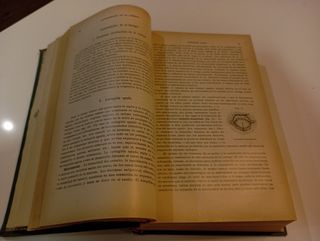 Tratado de medicina clínica y terap.